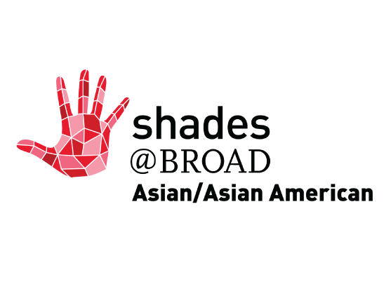Shades AAA logo