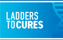 Ladders to cures logo on a blue background with a DNA icon on the side