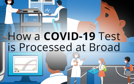 Illustrated images of the testing and test processing process with text How a COVID-19 Test is Processed at Broad